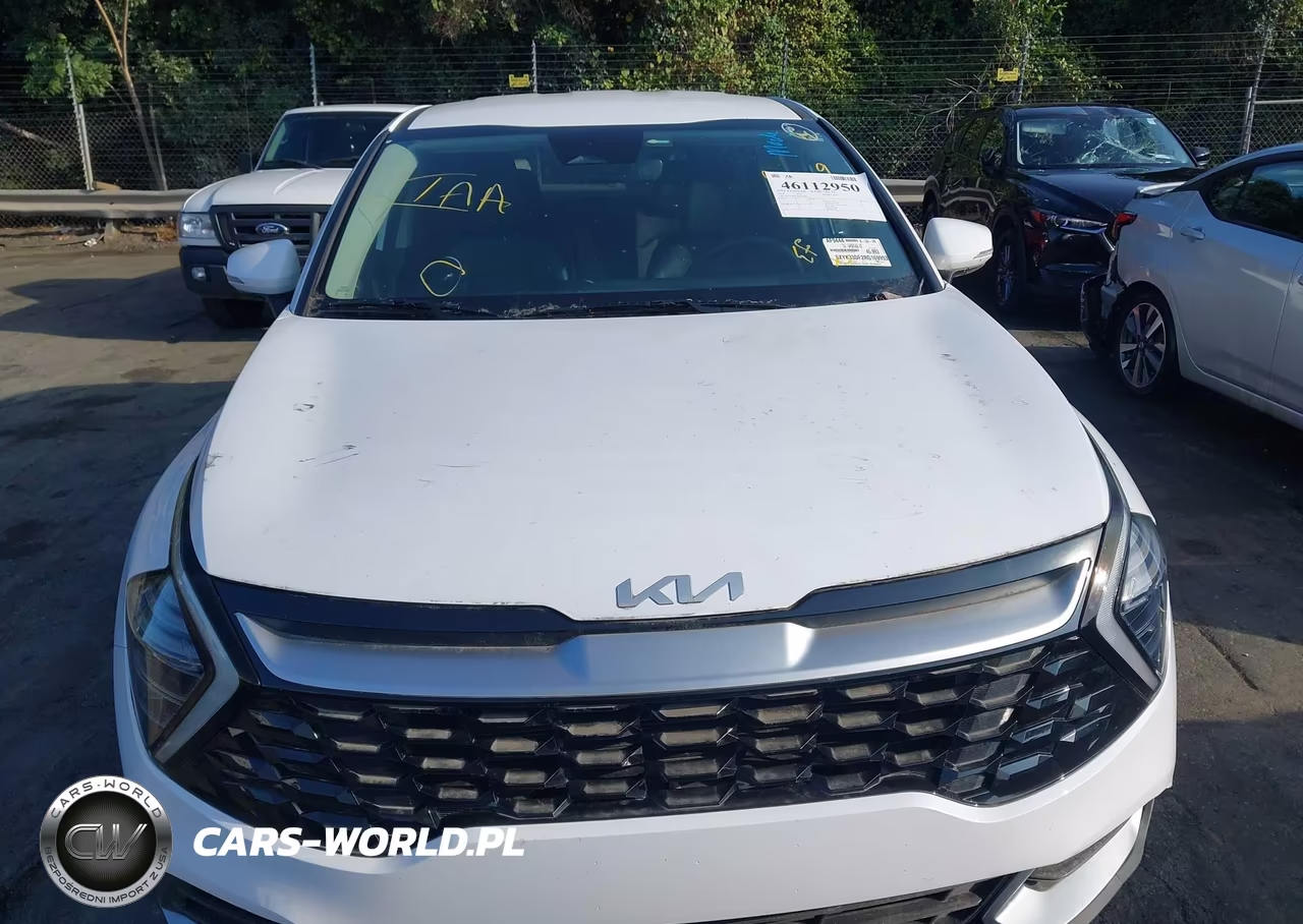 2024 Kia Sportage Ex VIN:5XYK33DF2RG169993 - 12