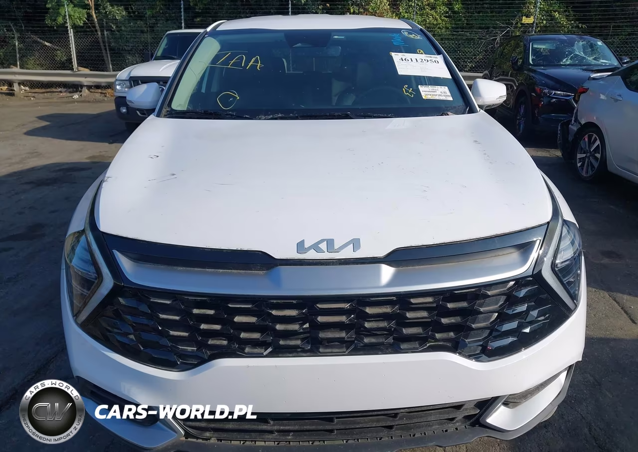 2024 Kia Sportage Ex VIN:5XYK33DF2RG169993 - 6