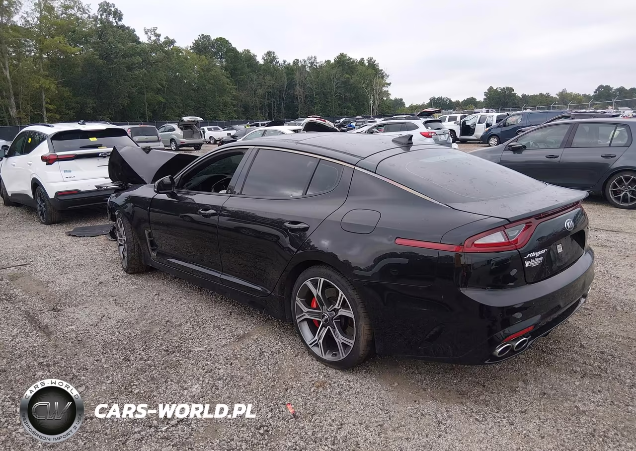 2018 Kia Stinger Gt2 VIN:KNAE55LC2J6032003 - 3