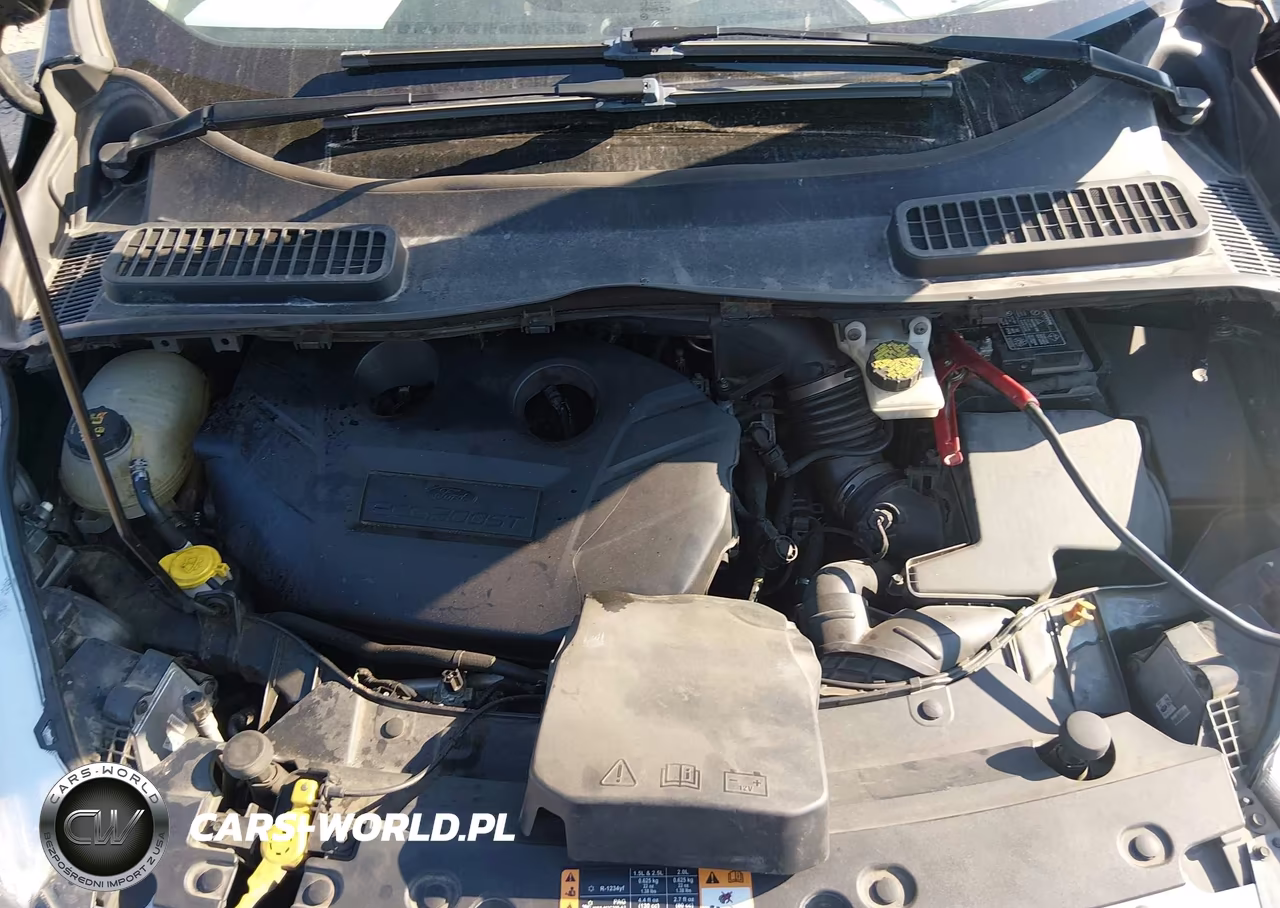 2019 Ford Escape Titanium VIN:1FMCU0J93KUA97734 - 10