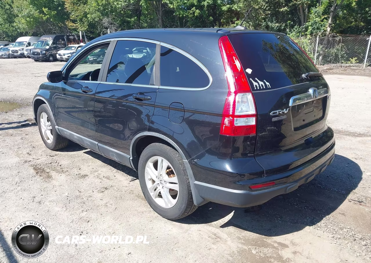 2010 Honda Cr-V Ex-L VIN:5J6RE4H74AL100517 - 3