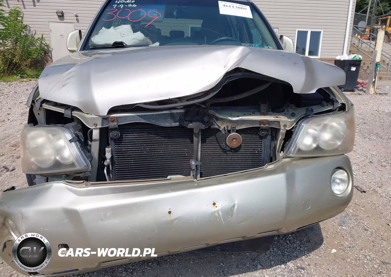 2002 Toyota Highlander Limited V6 VIN:JTEHF21A920062838 - 6