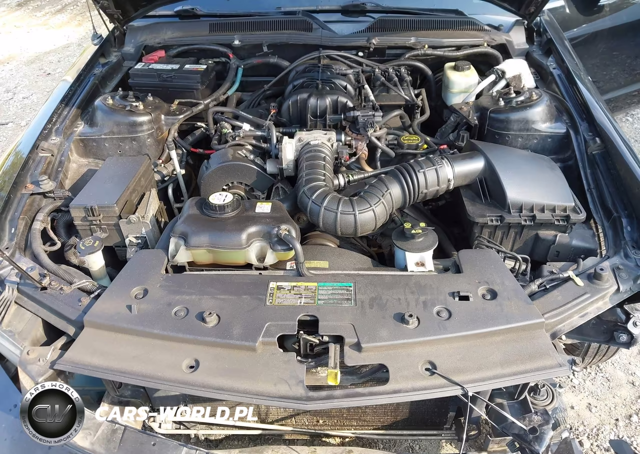 2005 Ford Mustang V6 Deluxe-V6 Premium VIN:1ZVHT80N855194787 - 10