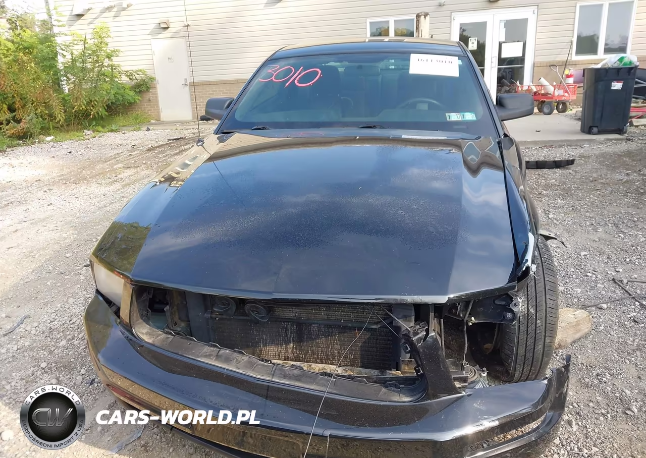 2005 Ford Mustang V6 Deluxe-V6 Premium VIN:1ZVHT80N855194787 - 13