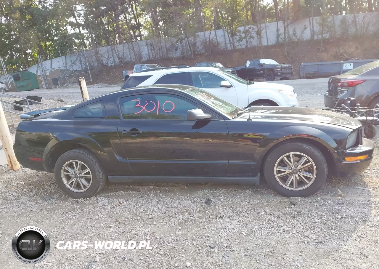 2005 Ford Mustang V6 Deluxe-V6 Premium VIN:1ZVHT80N855194787 - 14