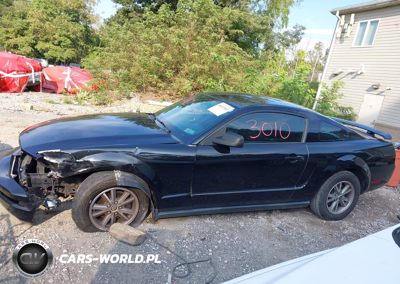 2005 Ford Mustang V6 Deluxe-V6 Premium VIN:1ZVHT80N855194787 - 15