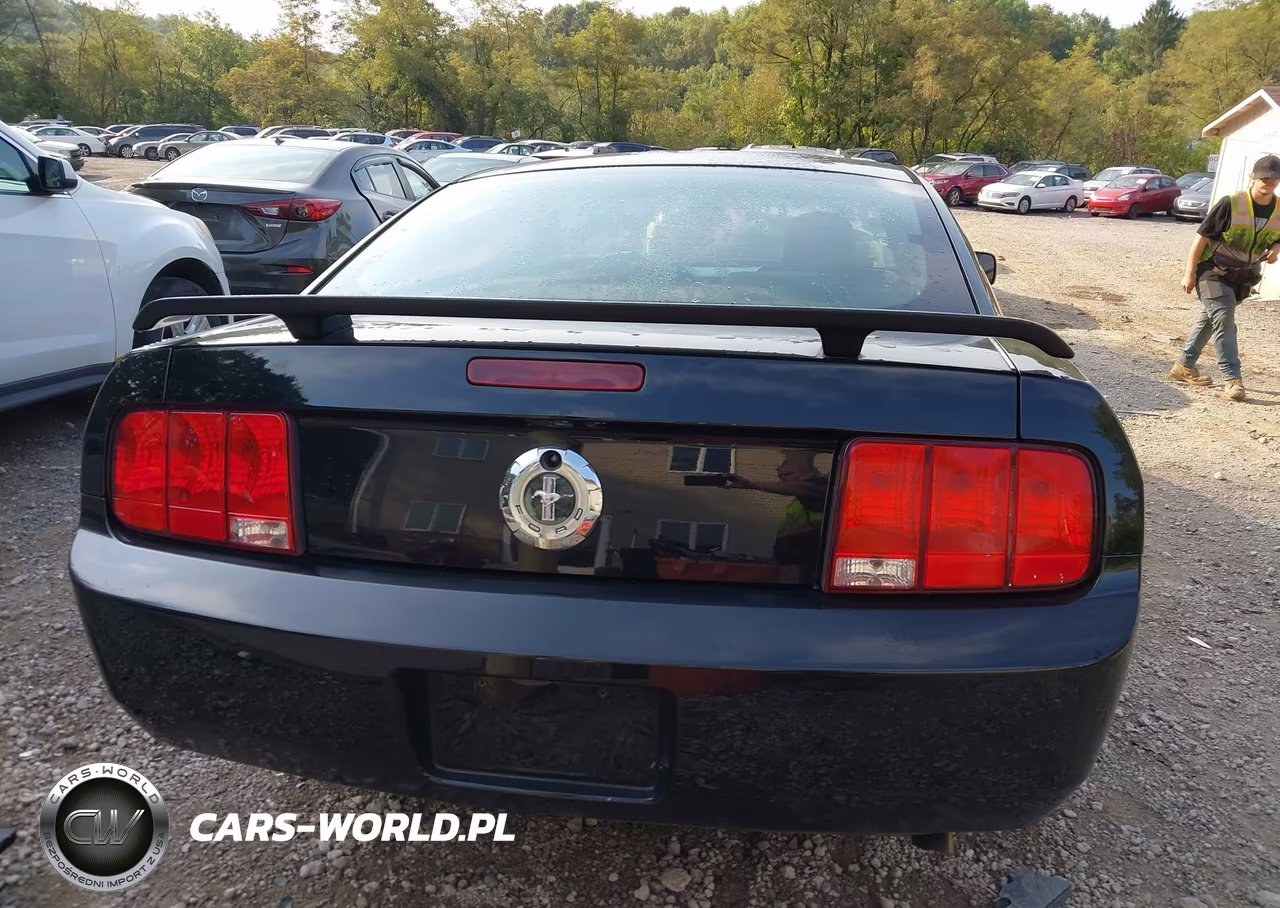 2005 Ford Mustang V6 Deluxe-V6 Premium VIN:1ZVHT80N855194787 - 17