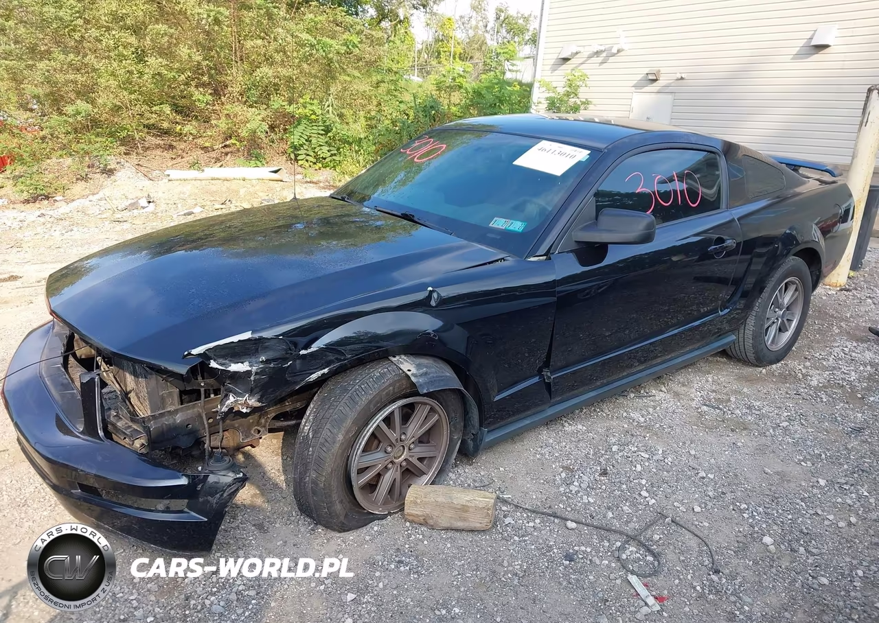 2005 Ford Mustang V6 Deluxe-V6 Premium VIN:1ZVHT80N855194787 - 2