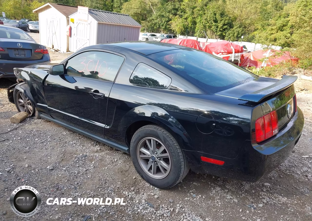 2005 Ford Mustang V6 Deluxe-V6 Premium VIN:1ZVHT80N855194787 - 3