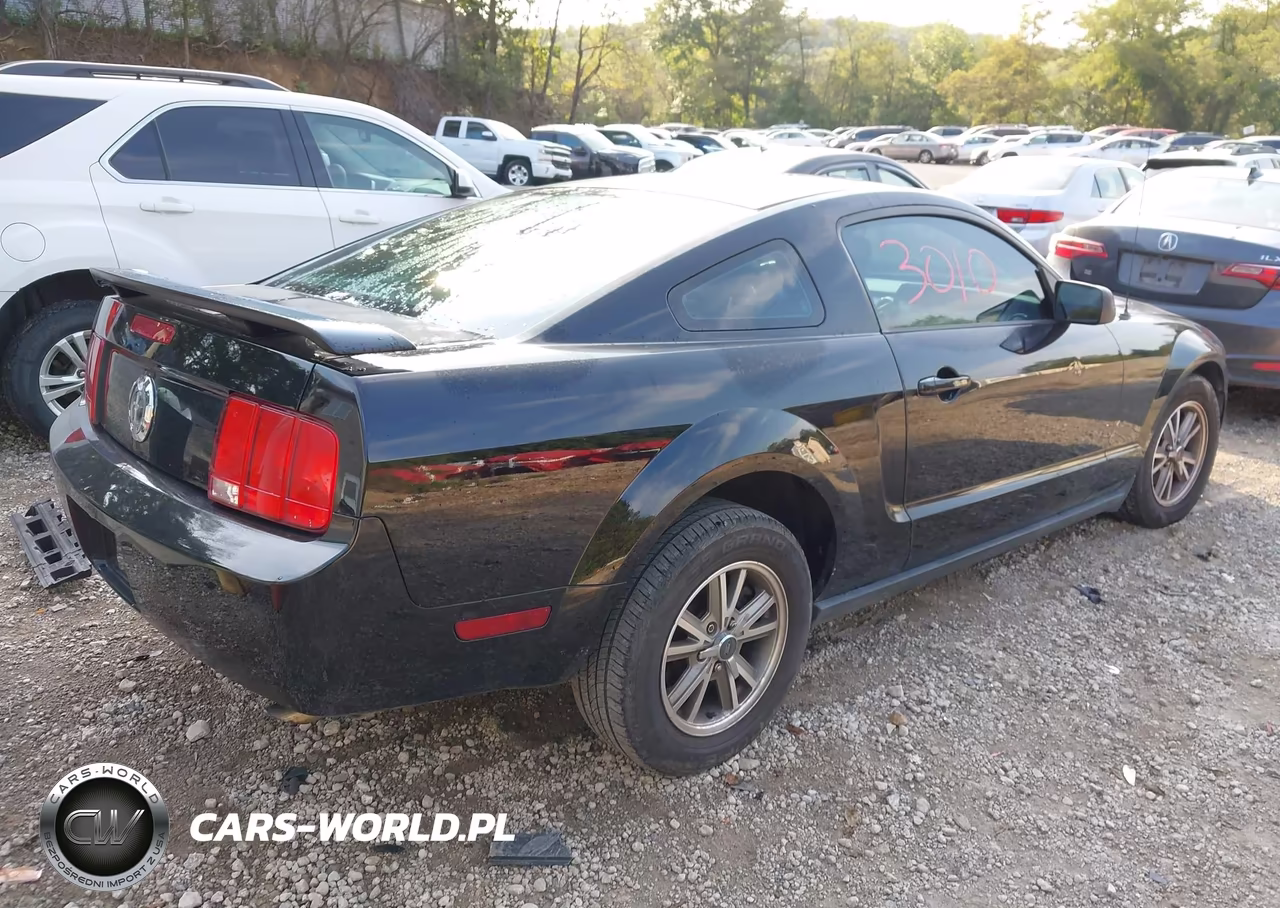 2005 Ford Mustang V6 Deluxe-V6 Premium VIN:1ZVHT80N855194787 - 4