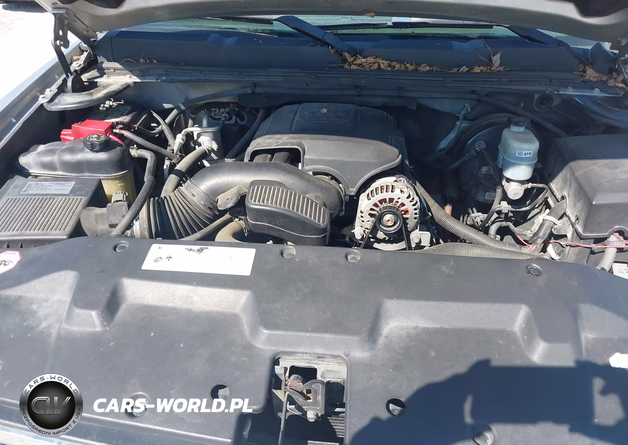 2010 Chevrolet Silverado 1500 Lt VIN:3GCRKSE36AG108023 - 10