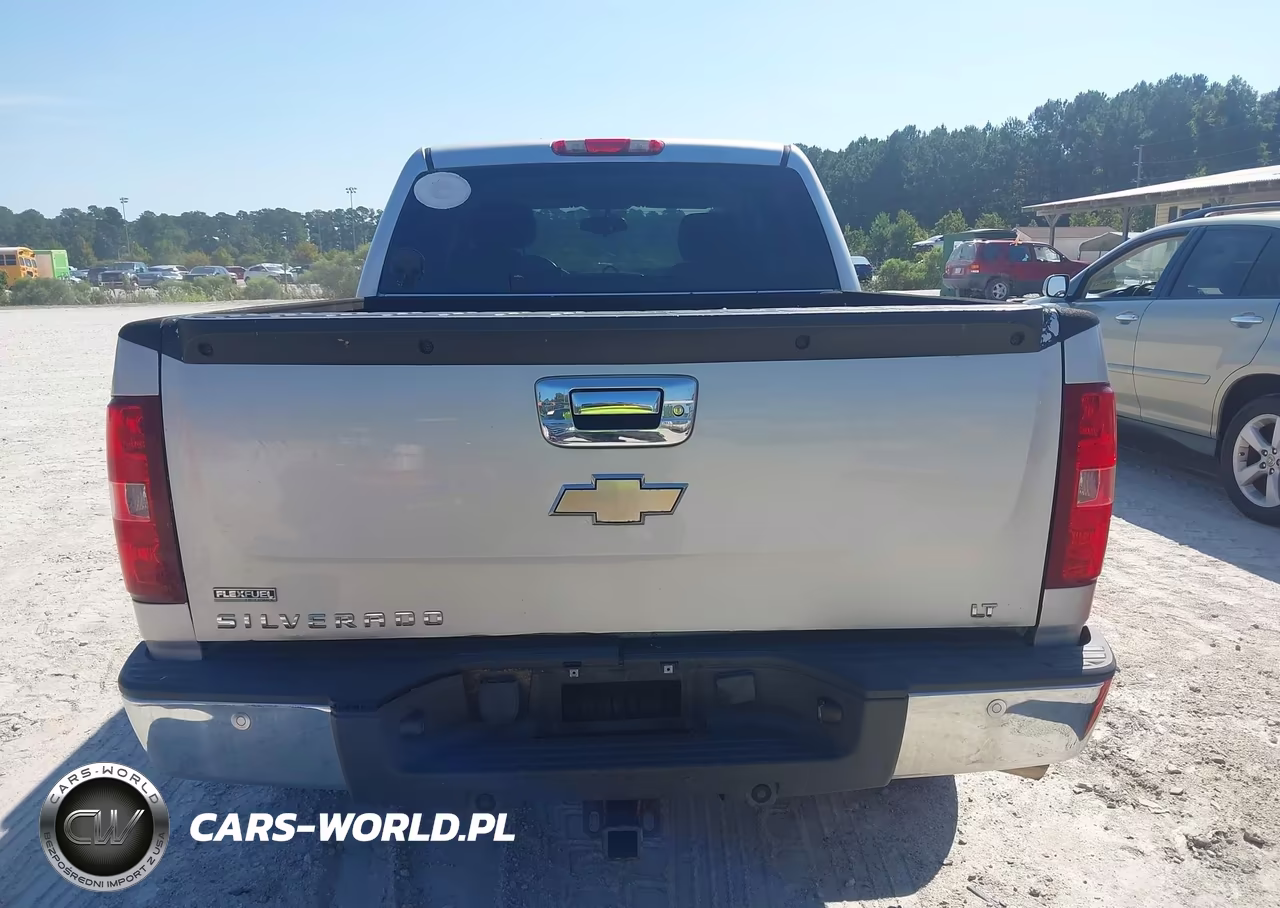 2010 Chevrolet Silverado 1500 Lt VIN:3GCRKSE36AG108023 - 16