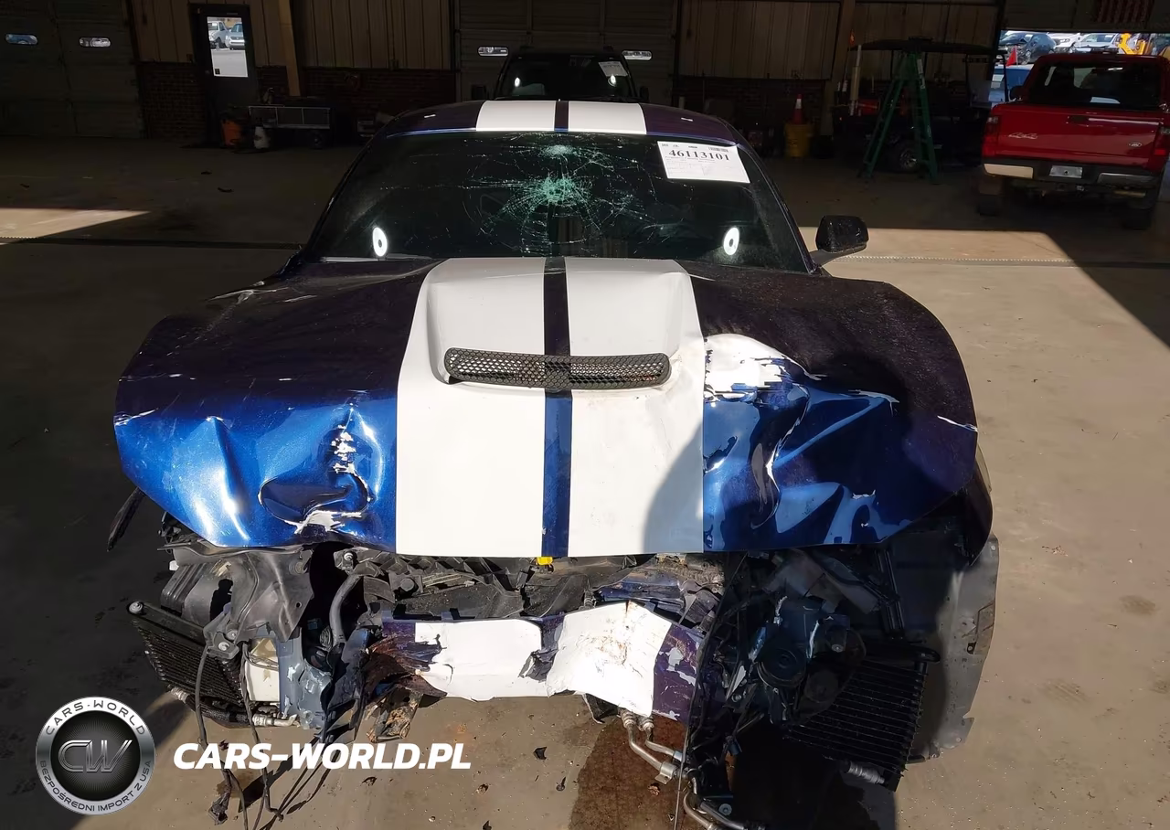 2018 Ford Shelby Gt350 VIN:1FA6P8JZ9J5503540 - 13