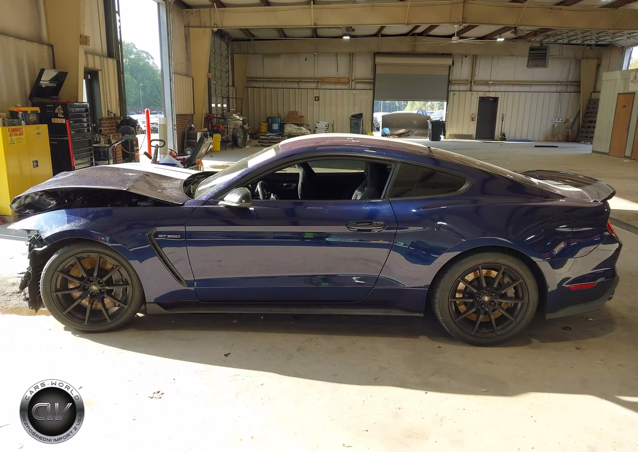 2018 Ford Shelby Gt350 VIN:1FA6P8JZ9J5503540 - 15