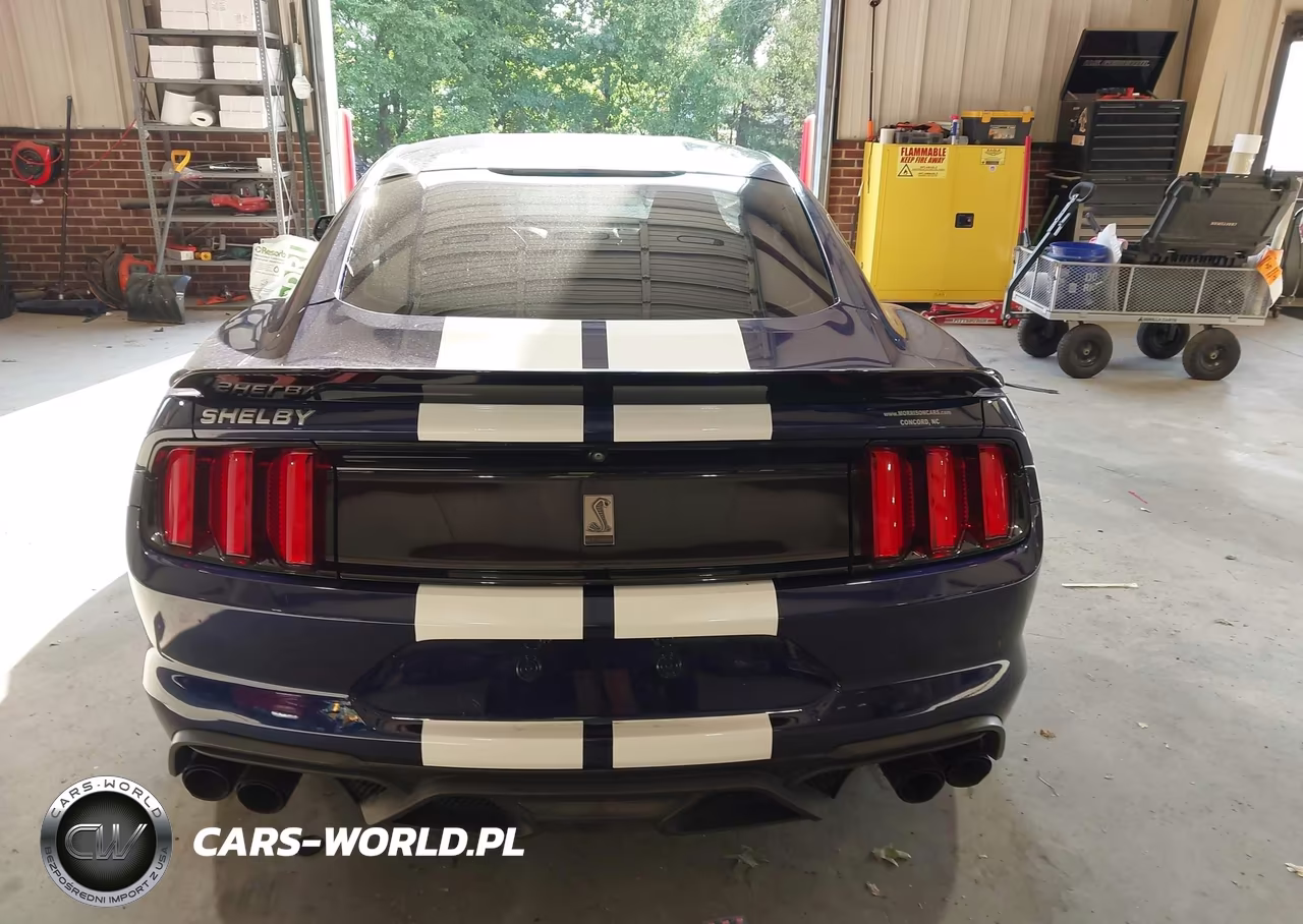 2018 Ford Shelby Gt350 VIN:1FA6P8JZ9J5503540 - 17