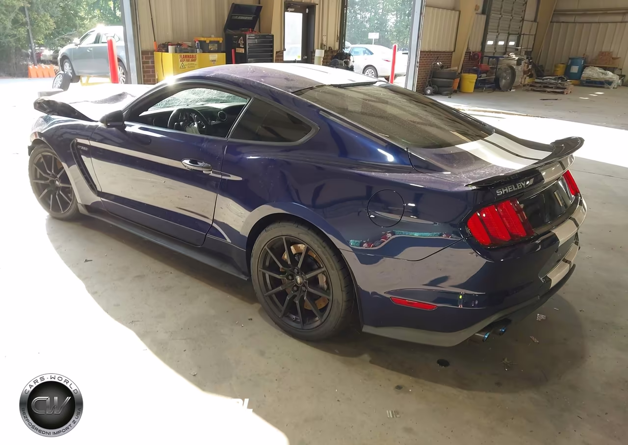 2018 Ford Shelby Gt350 VIN:1FA6P8JZ9J5503540 - 3