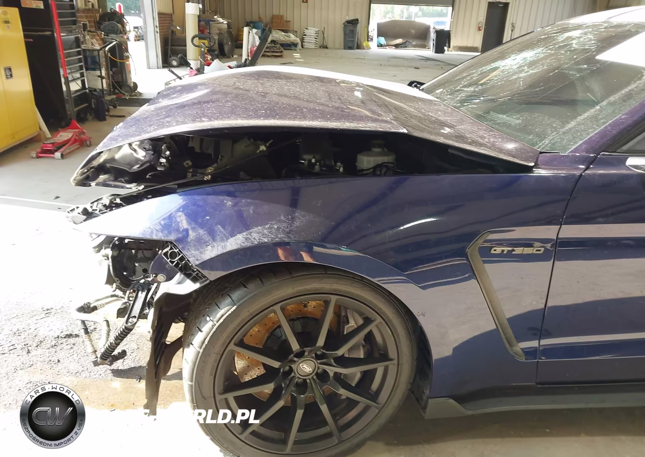 2018 Ford Shelby Gt350 VIN:1FA6P8JZ9J5503540 - 6