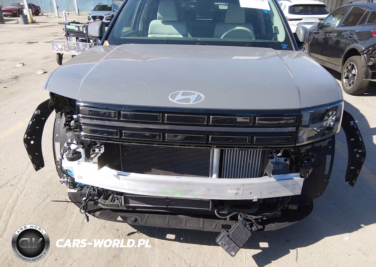 2024 Hyundai Santa Fe Hybrid Limited VIN:5NMP3DG13RH006139 - 6
