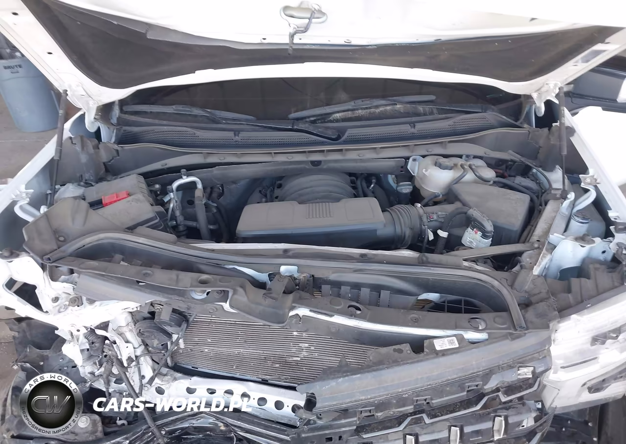 2024 Chevrolet Silverado 1500 4Wd Short Bed Lt Trail Boss VIN:3GCUDFED0RG216881 - 10