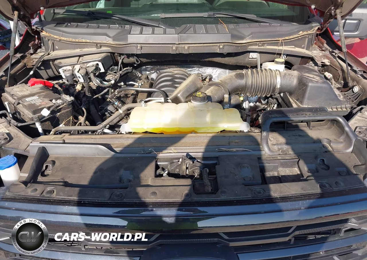 2024 Ford F-150 Xlt VIN:1FTFW3L51RFB89351 - 10