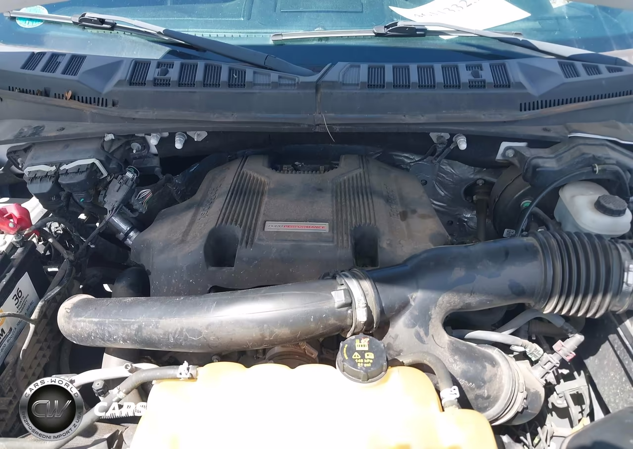 2018 Ford F-150 Raptor VIN:1FTFW1RG8JFA84047 - 10