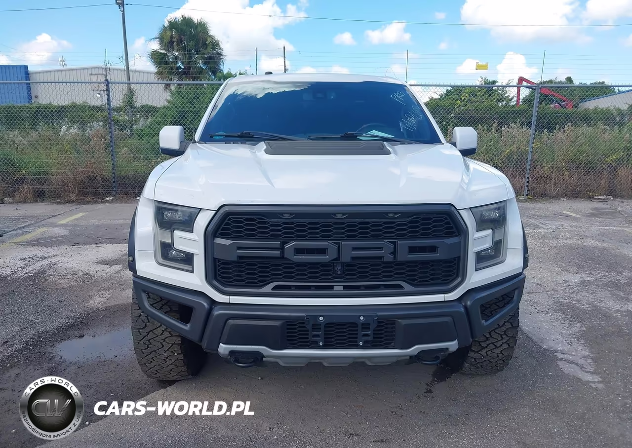 2018 Ford F-150 Raptor VIN:1FTFW1RG8JFA84047 - 12
