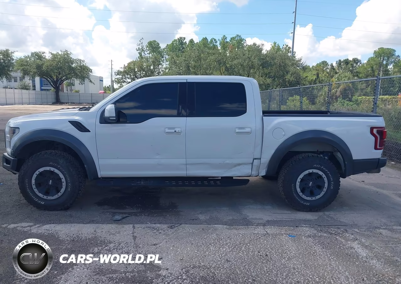 2018 Ford F-150 Raptor VIN:1FTFW1RG8JFA84047 - 14