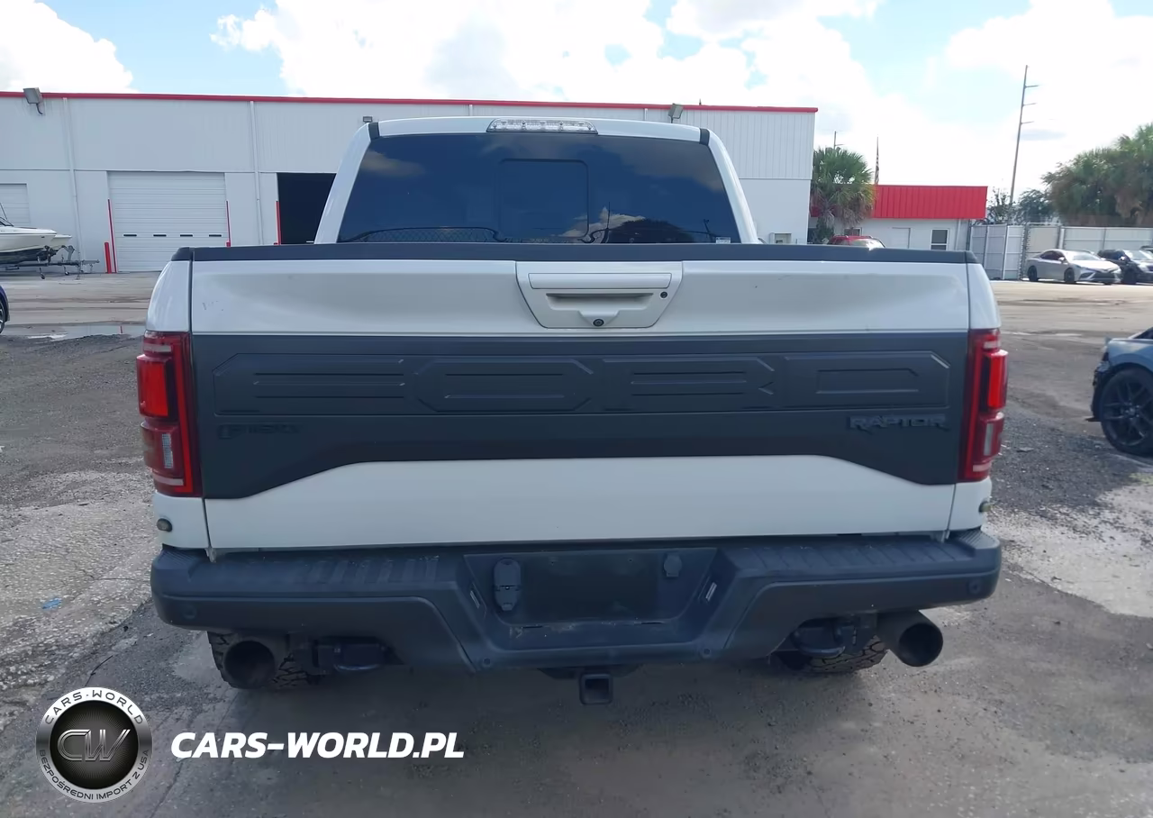 2018 Ford F-150 Raptor VIN:1FTFW1RG8JFA84047 - 16