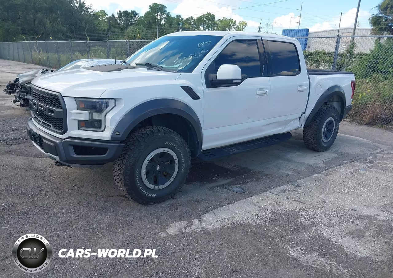 2018 Ford F-150 Raptor VIN:1FTFW1RG8JFA84047 - 2