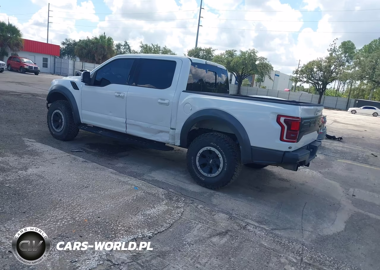 2018 Ford F-150 Raptor VIN:1FTFW1RG8JFA84047 - 3