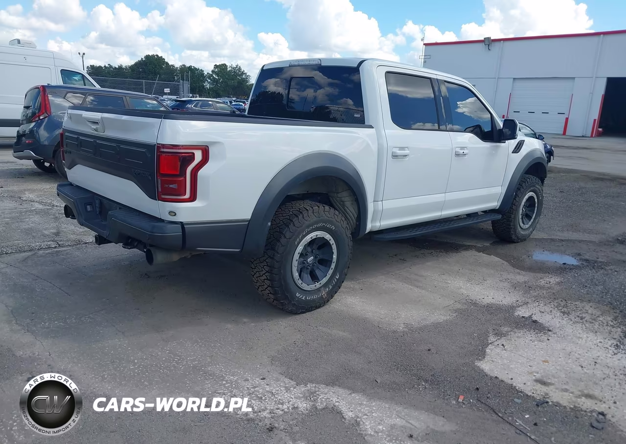 2018 Ford F-150 Raptor VIN:1FTFW1RG8JFA84047 - 4