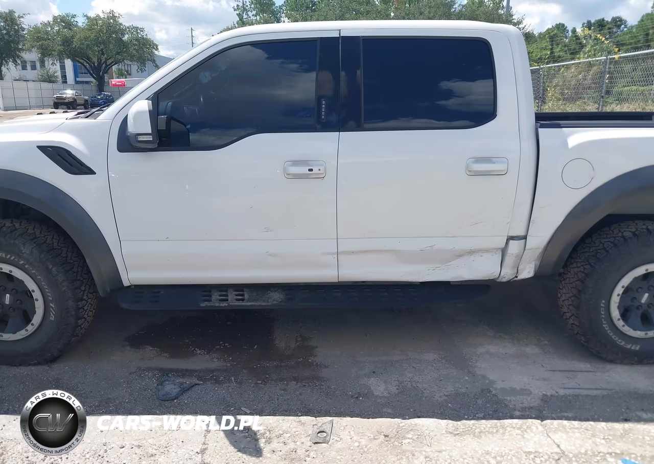 2018 Ford F-150 Raptor VIN:1FTFW1RG8JFA84047 - 6