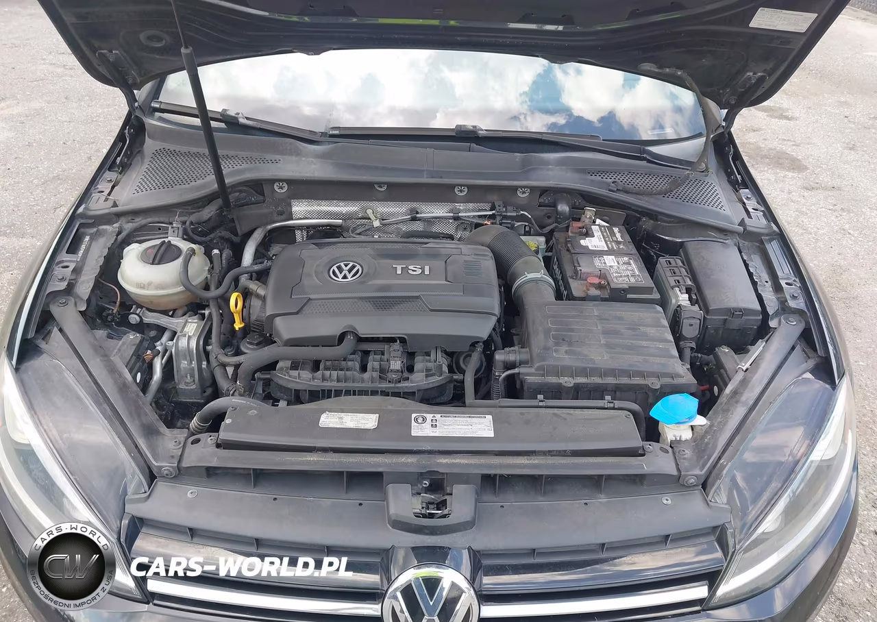 2015 Volkswagen Golf Tsi Se 4-Door VIN:3VW217AU5FM098137 - 10