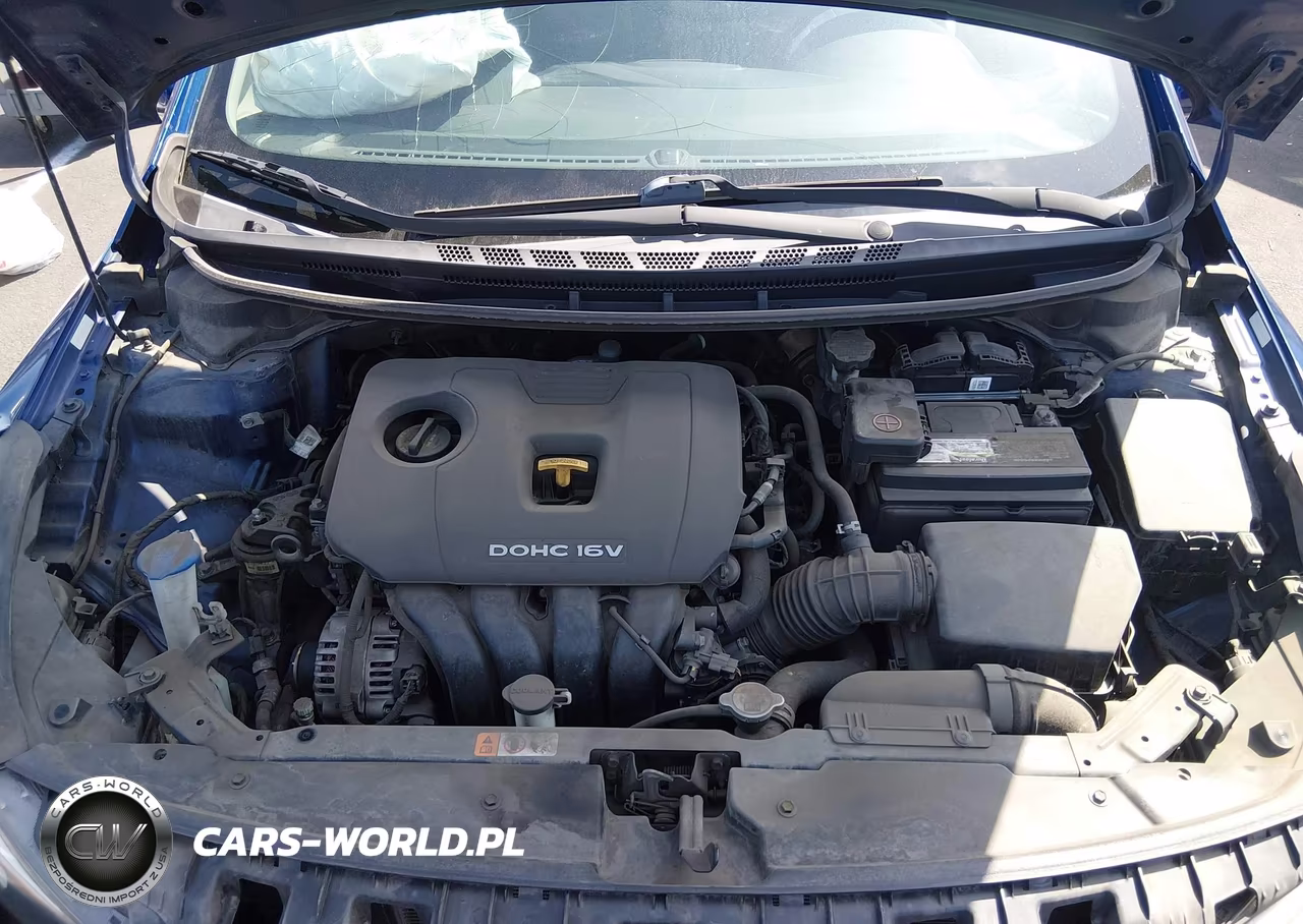2017 Kia Forte Lx VIN:3KPFK4A71HE141279 - 10