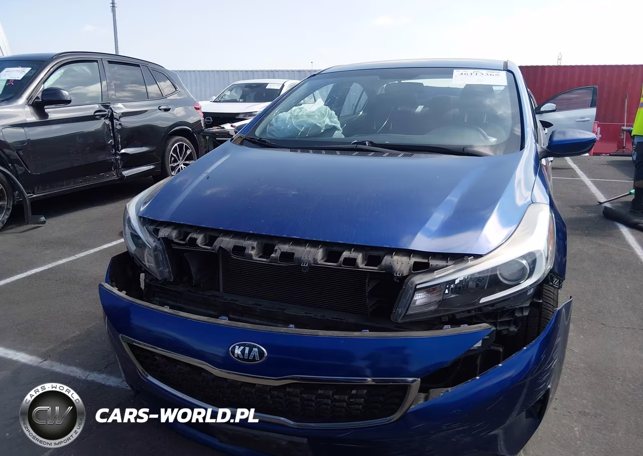 2017 Kia Forte Lx VIN:3KPFK4A71HE141279 - 11