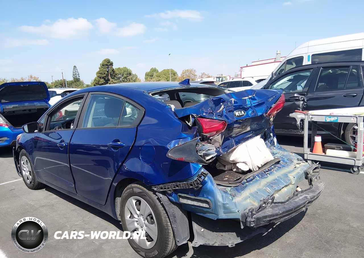 2017 Kia Forte Lx VIN:3KPFK4A71HE141279 - 13