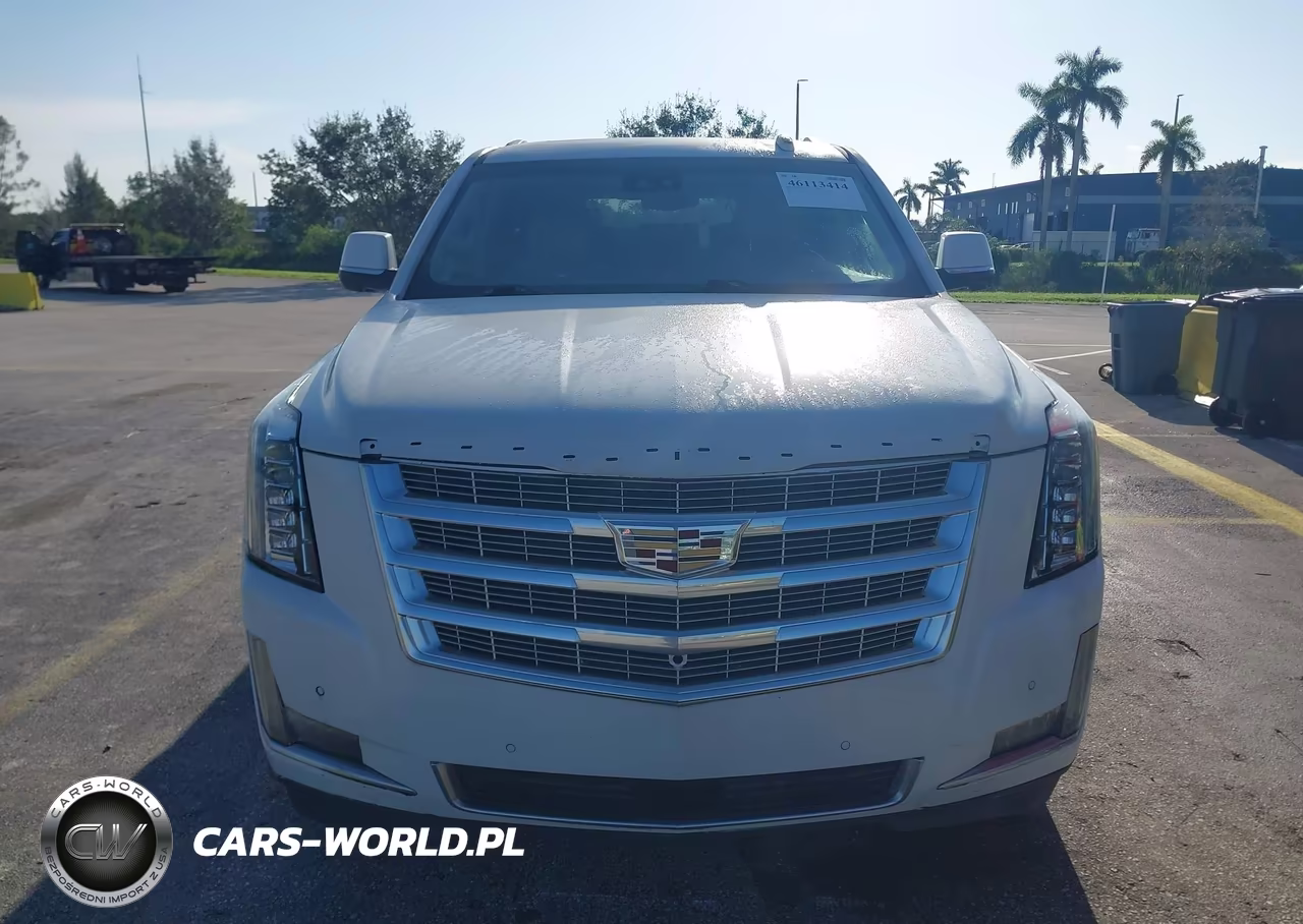 2018 Cadillac Escalade Esv Premium Luxury VIN:1GYS4JKJ6JR319287 - 12