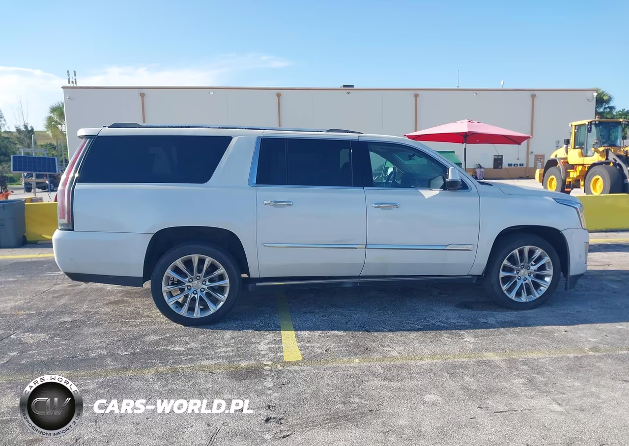 2018 Cadillac Escalade Esv Premium Luxury VIN:1GYS4JKJ6JR319287 - 13