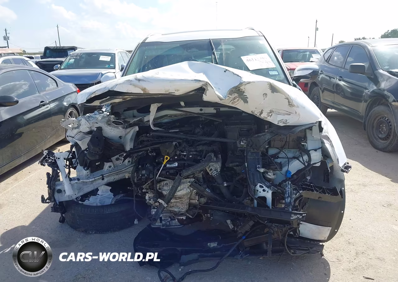 2024 Kia Telluride Sx VIN:5XYP54GC9RG536878 - 12