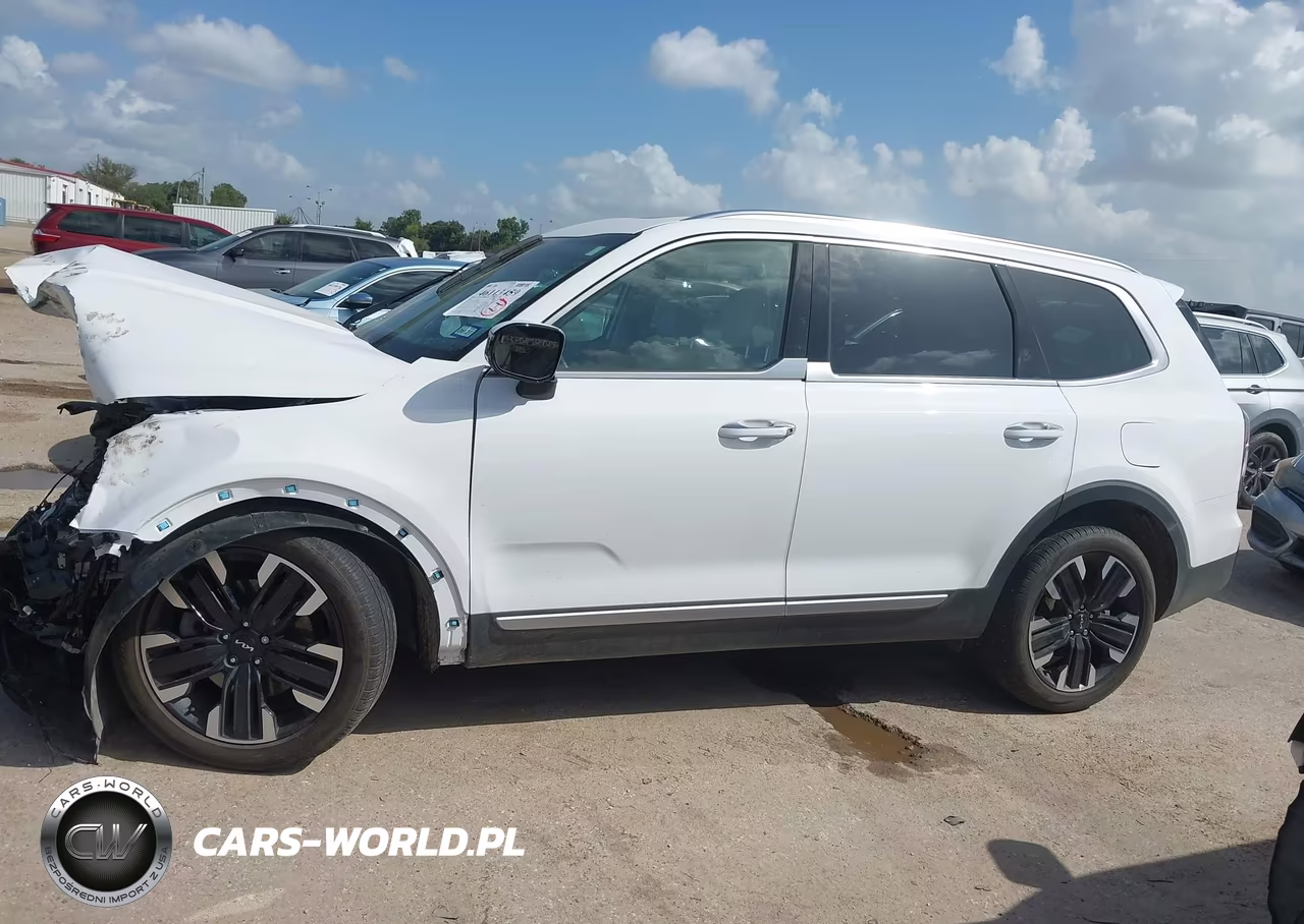 2024 Kia Telluride Sx VIN:5XYP54GC9RG536878 - 14