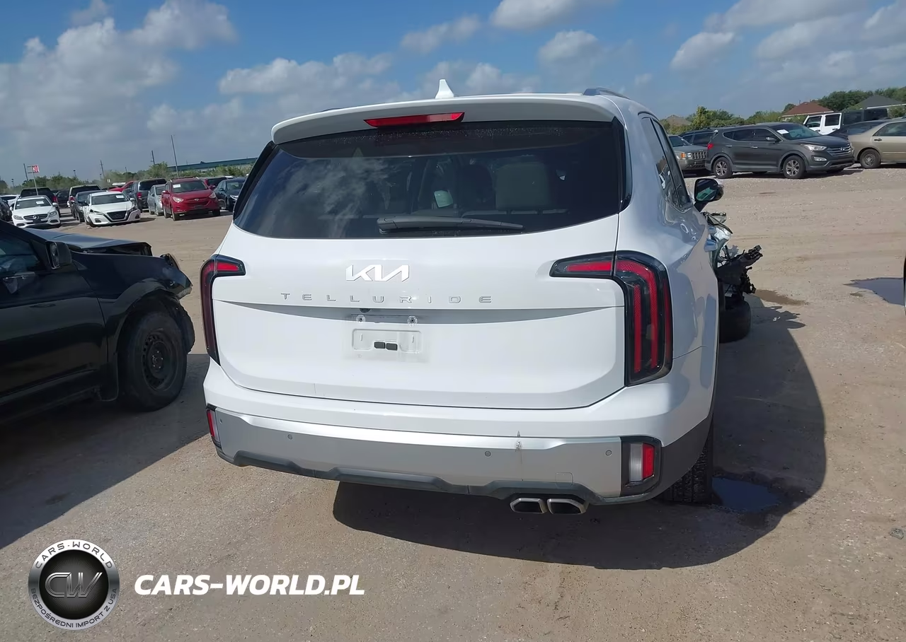 2024 Kia Telluride Sx VIN:5XYP54GC9RG536878 - 16