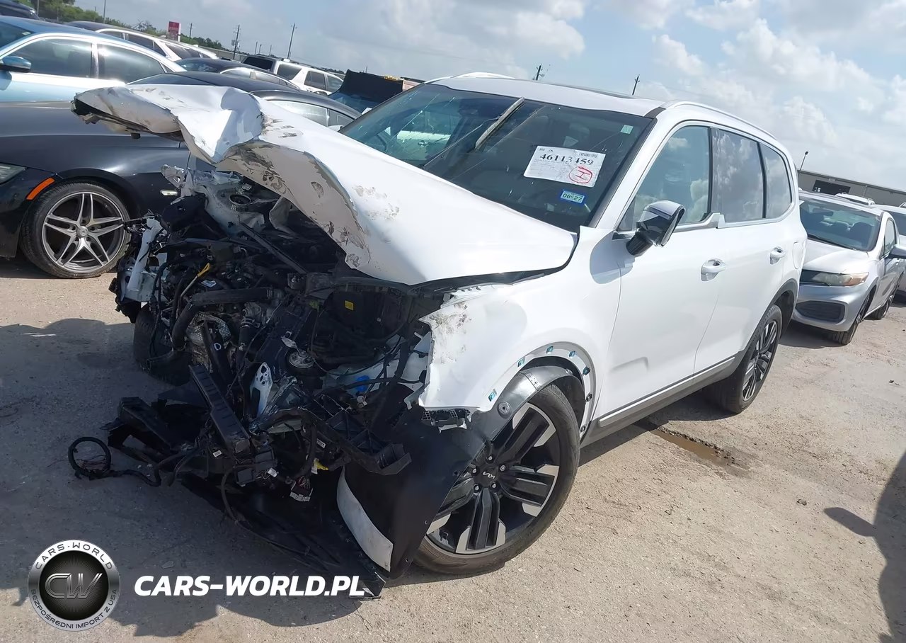 2024 Kia Telluride Sx VIN:5XYP54GC9RG536878 - 2