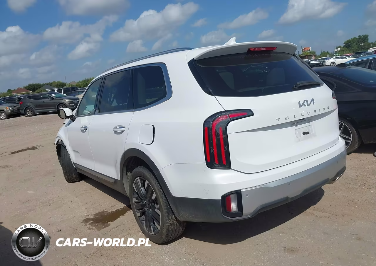 2024 Kia Telluride Sx VIN:5XYP54GC9RG536878 - 3