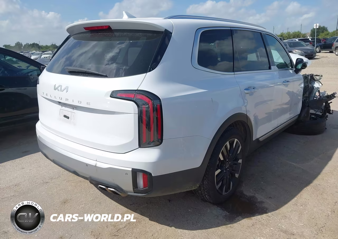 2024 Kia Telluride Sx VIN:5XYP54GC9RG536878 - 4