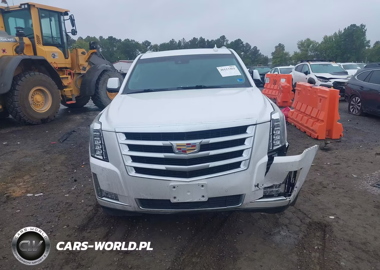 2016 Cadillac Escalade Esv Luxury Collection VIN:1GYS4HKJXGR154636 - 13
