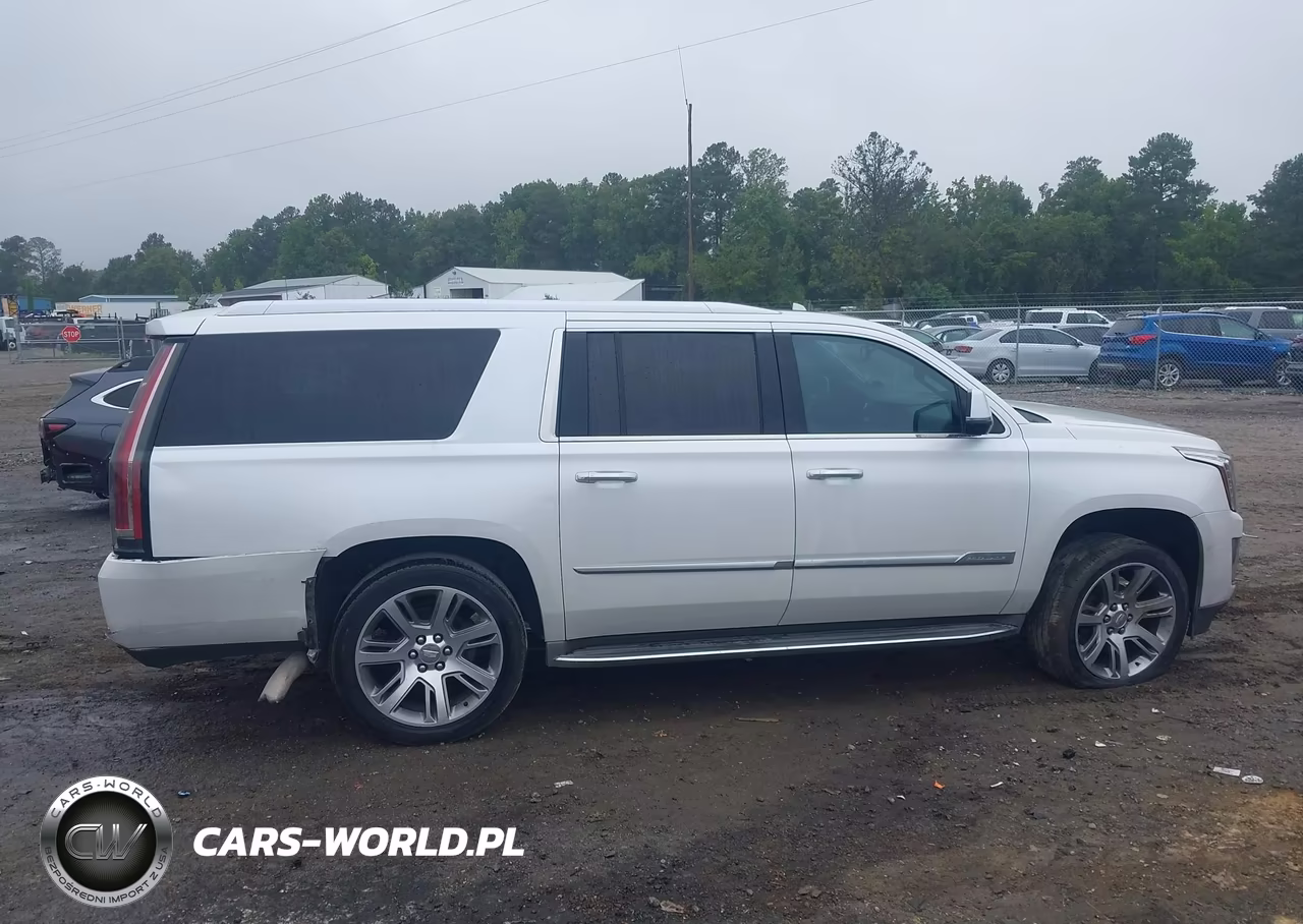 2016 Cadillac Escalade Esv Luxury Collection VIN:1GYS4HKJXGR154636 - 14