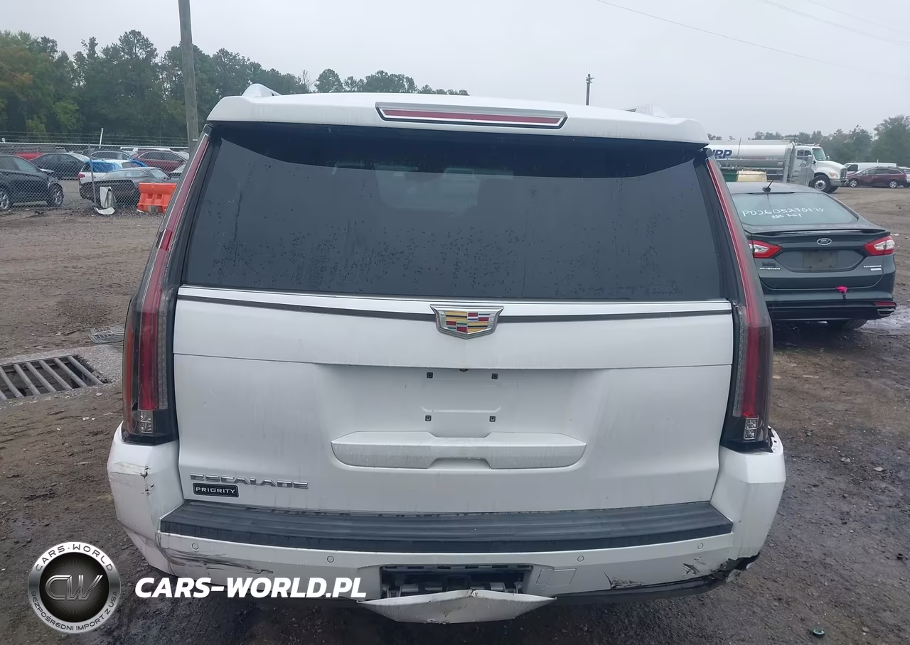 2016 Cadillac Escalade Esv Luxury Collection VIN:1GYS4HKJXGR154636 - 17