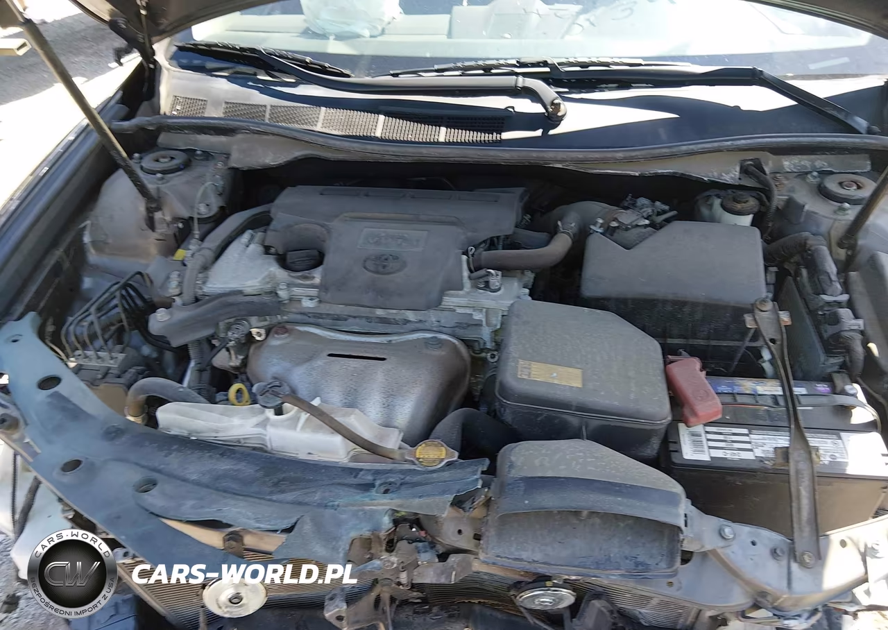 2014 Toyota Camry Se VIN:4T1BF1FK4EU471943 - 10