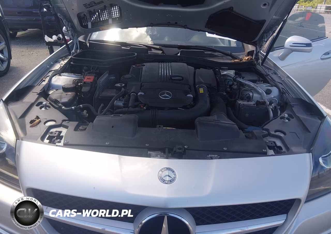 2013 Mercedes-Benz Slk 250 VIN:WDDPK4HA7DF061707 - 10