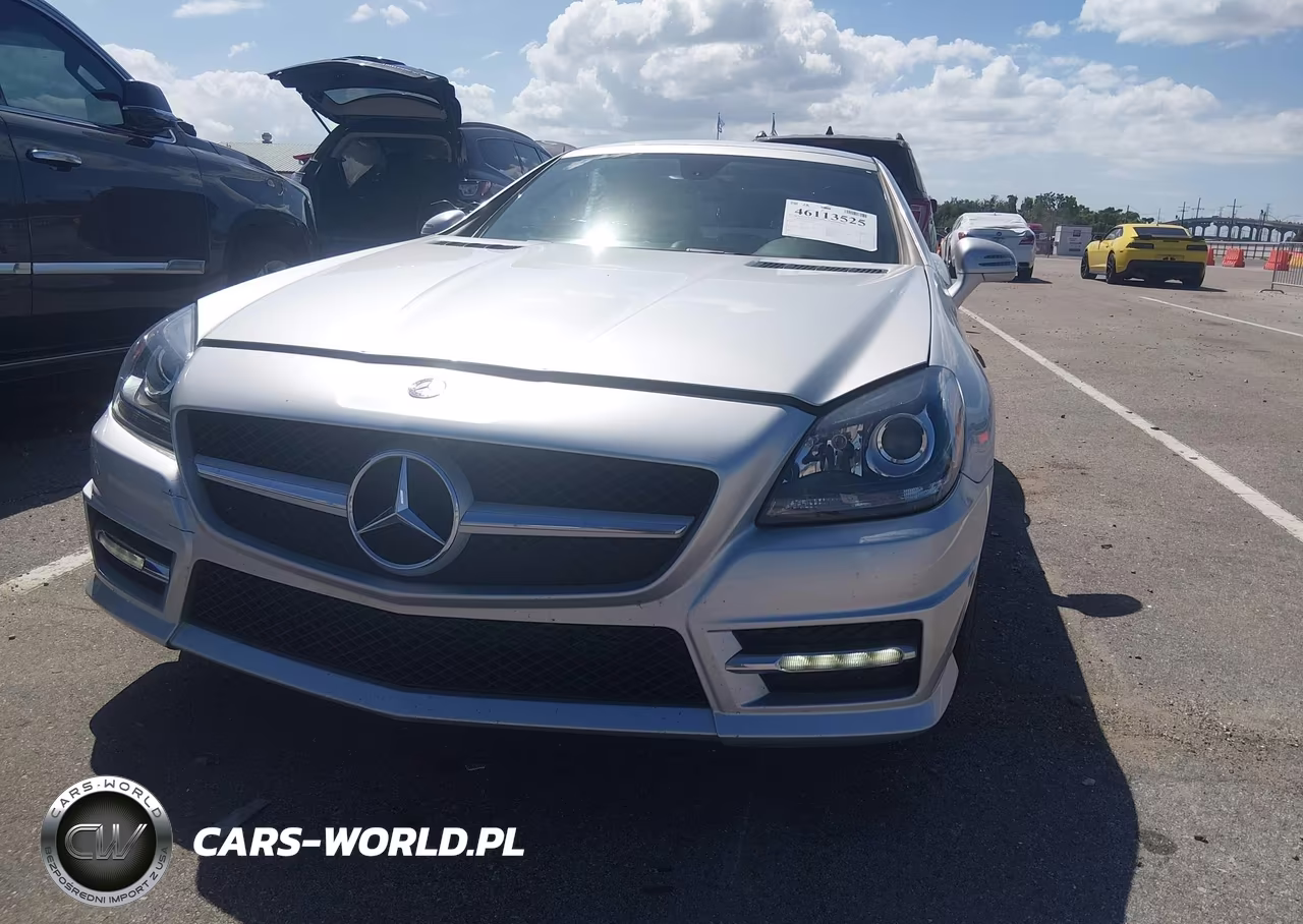 2013 Mercedes-Benz Slk 250 VIN:WDDPK4HA7DF061707 - 12
